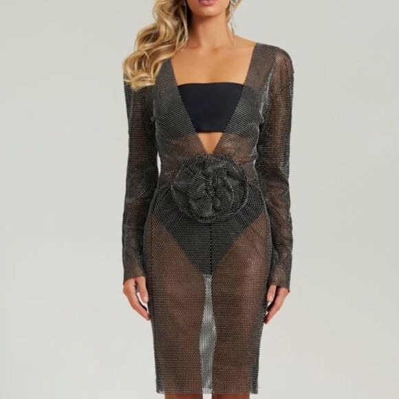 NWT Heiress mesh dress - Picture 1 of 3